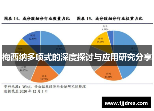 梅西纳多项式的深度探讨与应用研究分享